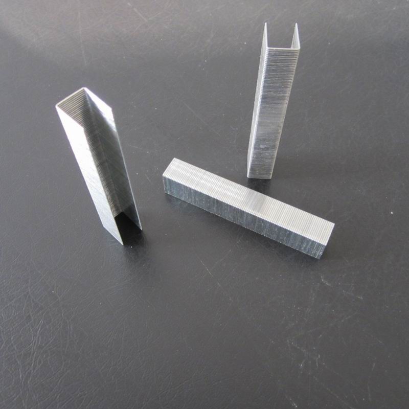 23  staple